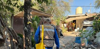 Pide Salud Colima a instituciones y población no confiarse en el combate al dengue