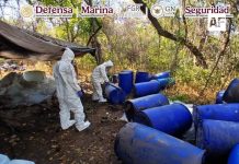 Aseguran droga y sustancias químicas en operativos en Sinaloa