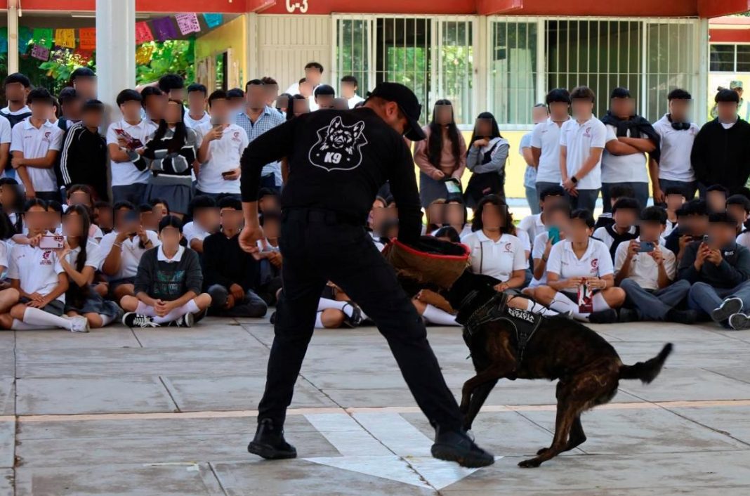 ssp feria de la prevension cbtis 01