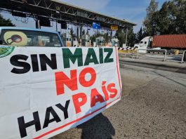 México rompe récord y se convierte en el mayor importador mundial de maíz