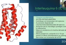 Explican cuáles ejercicios físicos son mejores para la salud, en Expo Neuro 2025