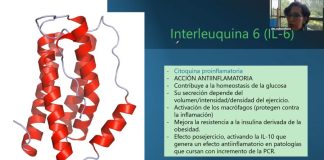 Explican cuáles ejercicios físicos son mejores para la salud, en Expo Neuro 2025