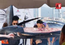 Todo un éxito el festival gastronómico “Manzanillo a Las Brasas”