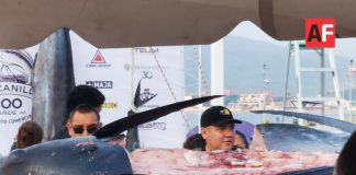 Todo un éxito el festival gastronómico “Manzanillo a Las Brasas”