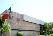 IMSS Jalisco realiza segunda Marcha Azul en favor de la salud de los hombres
