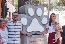 Manzanillo destina 5 MdP para construcción del Centro del Bienestar Animal