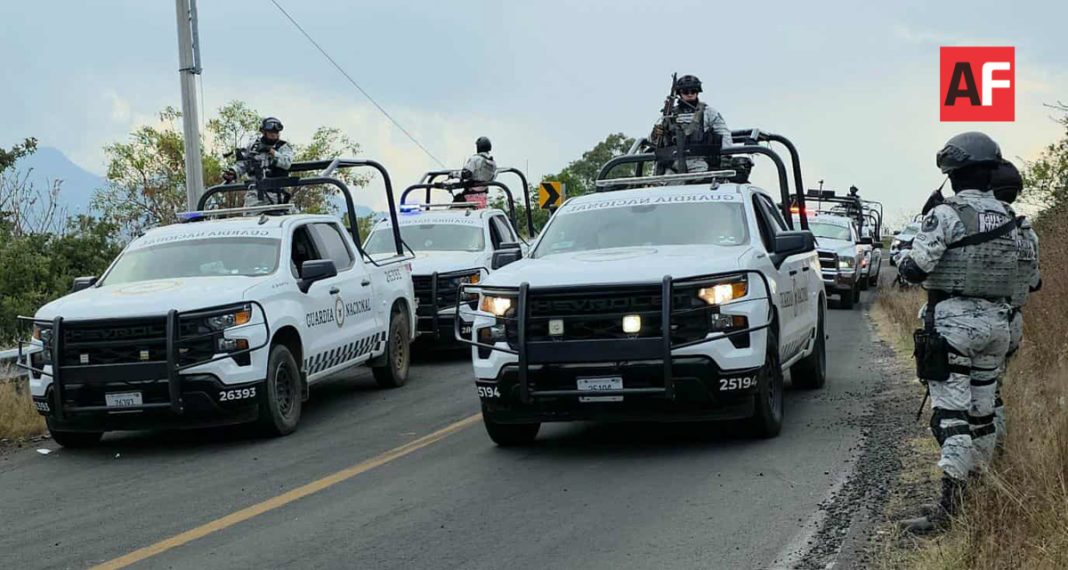 Operativos Guardia Nacional Michoacán, Plan Michoacán-5