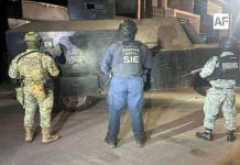 Gabinete de Seguridad de México informa detención de 12 personas y aseguramiento de armamento, en el marco del Plan Michoacán por la Paz y la Justicia