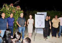 Entrega Tey alumbrado público en el jardín de Las Lagunas II