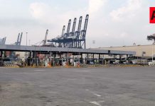 Reanuda el puerto de Manzanillo sus operaciones, confirman autoridades
