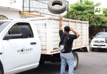 Estado de Colima en el nivel histórico más bajo en dengue: Secretaría de Salud