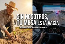 Productores y transportistas anuncian mega paro nacional este 24 de noviembre: “Mañana México se detiene”