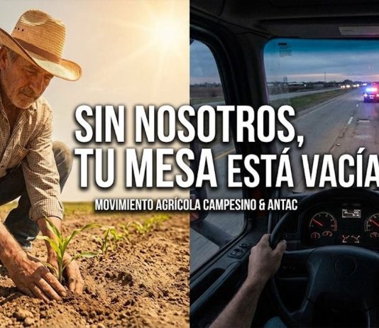 Productores y transportistas anuncian mega paro nacional este 24 de noviembre: “Mañana México se detiene”