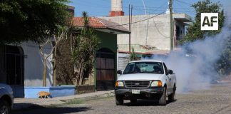 Salud Colima sigue fumigando contra dengue los 4 municipios más grandes