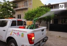 Salud Colima sigue intensificando la fumigación en los municipios de riesgo