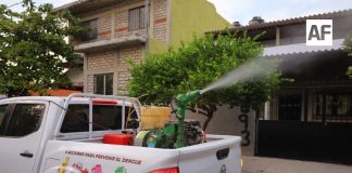 Salud Colima sigue intensificando la fumigación en los municipios de riesgo