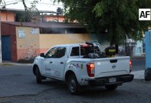 Colima, La Villa, Tecomán y Manzanillo en agenda de fumigación contra dengue