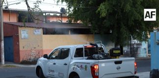 Colima, La Villa, Tecomán y Manzanillo en agenda de fumigación contra dengue