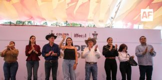 Para seguir apoyando al sector ganadero, se prevé aumento a Subseder en el Presupuesto 2026: Indira Vizcaíno