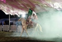 Conquistador’ deslumbra al público en el Teatro del Caballo de la Feria de Colima 2025