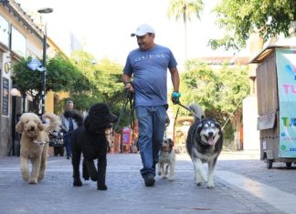 Tlaquepaque anuncia la carrera pedestre 3KAN, que une a corredores con sus “lomitos”
