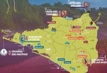 4to Festival de Observación de Aves con conferencias, talleres y rutas especializadas, en Colima