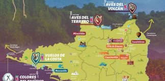 4to Festival de Observación de Aves con conferencias, talleres y rutas especializadas, en Colima