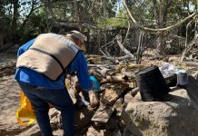 Salud Colima refuerza el control del dengue en Manzanillo y otros cuatro municipios de riesgo