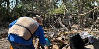 Salud Colima refuerza el control del dengue en Manzanillo y otros cuatro municipios de riesgo