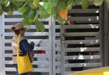 Mantiene Salud Colima control larvario en los 5 municipios de riesgo