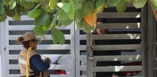 Mantiene Salud Colima control larvario en los 5 municipios de riesgo