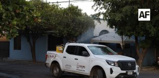 Salud Colima intensifica fumigación en Tecomán y otros municipios de riesgo