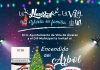 Invita Tey Gutiérrez al Festival del Encendido del Árbol Navideño