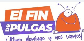 “‘Último domingo y nos vamos’: Comerciantes anuncian el Fin de Las Pulgas con ofertas especiales este 30 de noviembre”