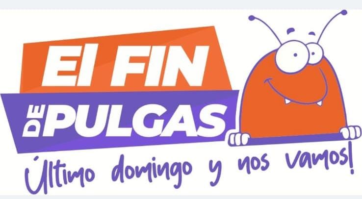 fin de las pulgas 01