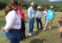 Subseder Colima supervisa ollas de agua para la dispersión de crías de tilapia