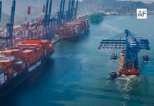 Manzanillo mueve el 40.7 por ciento de carga contenerizada de México