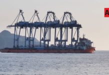 Retiran cuatro grúas STS de la Terminal Especializada en Contenedores I en Manzanillo