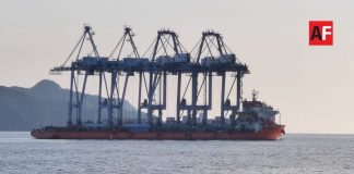 Retiran cuatro grúas STS de la Terminal Especializada en Contenedores I en Manzanillo