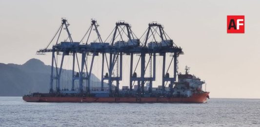 Retiran cuatro grúas STS de la Terminal Especializada en Contenedores I en Manzanillo