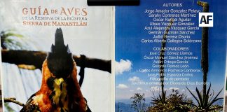 Presentan la Guía de Aves de la Sierra de Manantlán, un hito para la conservación y el conocimiento ambiental