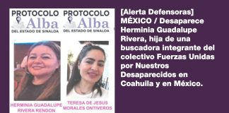 Desaparición de hija de buscadora en Sinaloa provoca alerta nacional entre defensoras