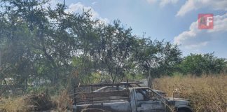 Incendio de maleza moviliza a Bomberos y a la UEPC cerca de agencias automotrices en Colima