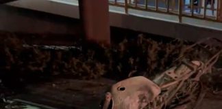 Muere motociclista calcinada tras accidente en la autopista Tecomán-Colima