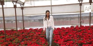 Laura Imelda apoyará con 6.5 millones de pesos a campesinos de Tlaquepaque Jalisco