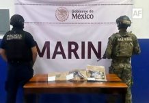 Operativo “Pez Vela 2025” deja 54 detenidos y múltiples aseguramientos en Colima