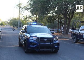 Policía Estatal de Colima detiene a 61 personas esta semana por diversos delitos