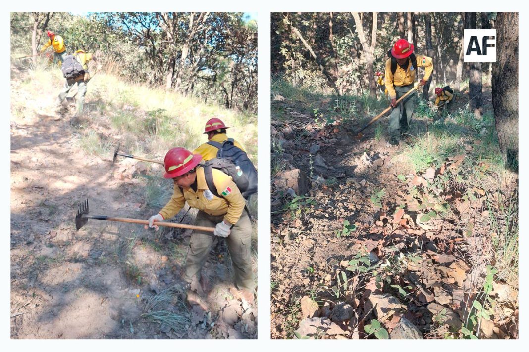 pc-jalisco-brigadas-incendios-01