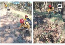 Brigadas de Jalisco refuerzan labores preventivas contra incendios forestales este 14 de noviembre
