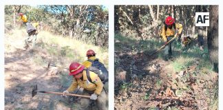 Brigadas de Jalisco refuerzan labores preventivas contra incendios forestales este 14 de noviembre